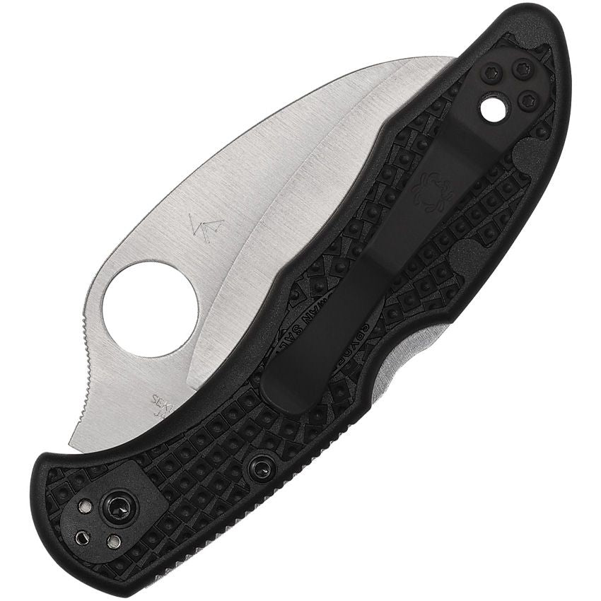 Spyderco Tasman Salt 2 Lockback