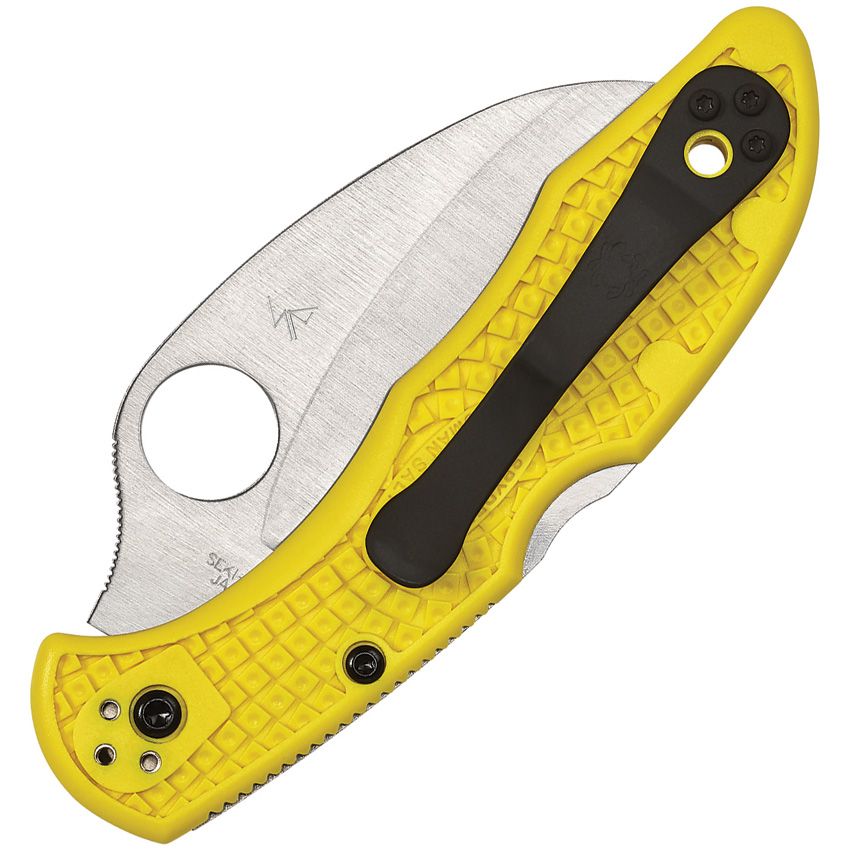 Spyderco Tasman Salt 2 Lockback